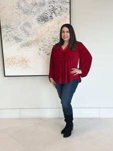 Marilee Pleated Velvet Top