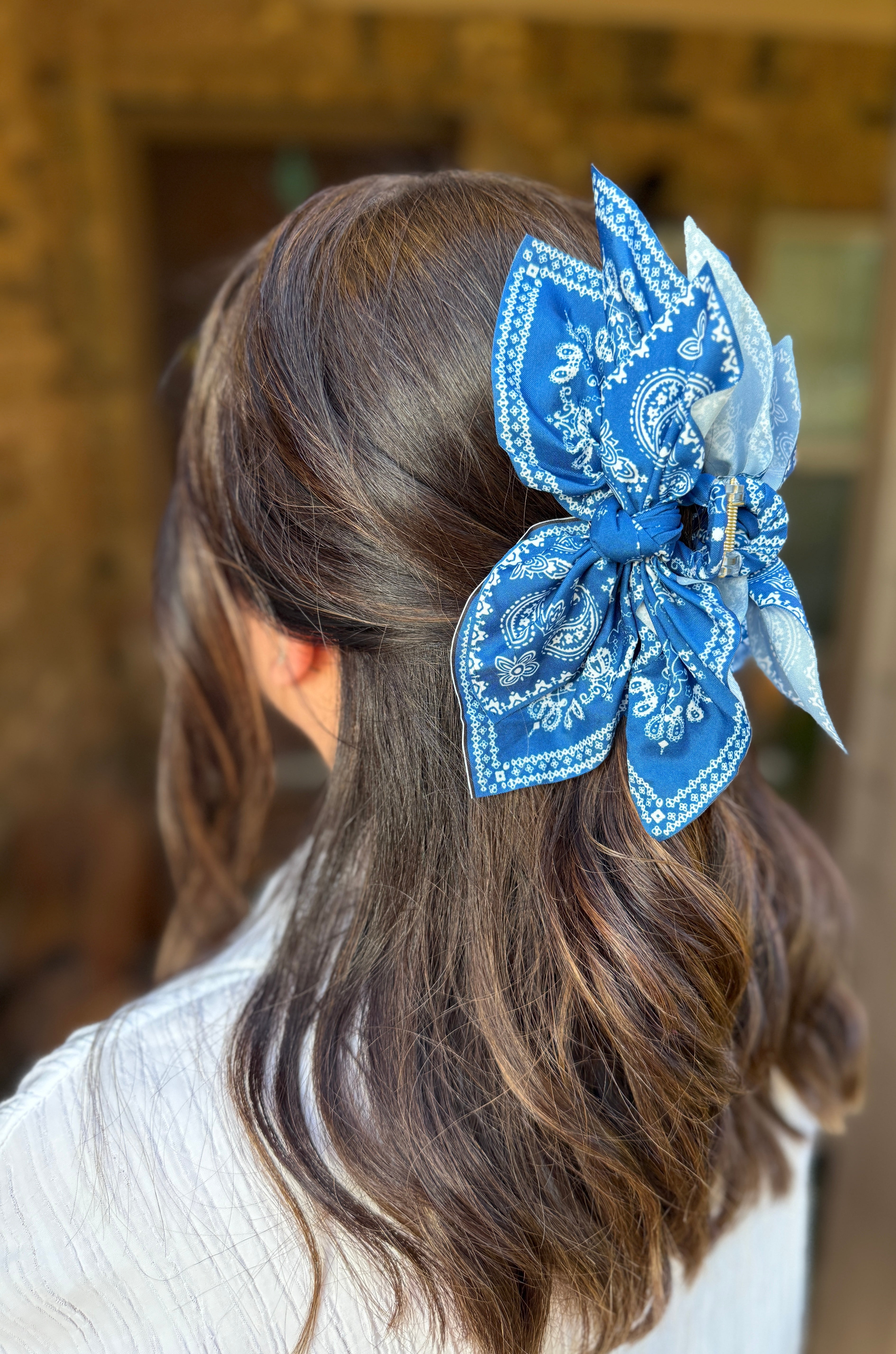 Western Hair Clip in Blue