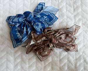 Western Hair Clips
